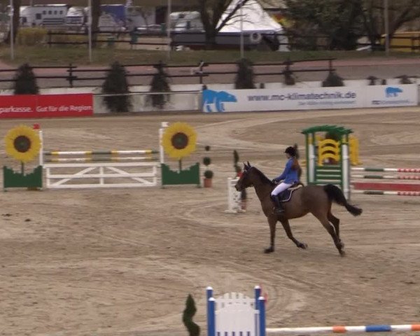Balve-Wocklum Regio 2015