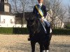 dressage horse Popeye Power (German Riding Pony, 1998, from FS Pour l'Amour)