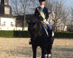 dressage horse Popeye Power (German Riding Pony, 1998, from FS Pour l'Amour)