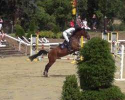 jumper Bahia Honda (Westphalian, 2010, from Black Jack 175)