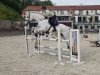 jumper Flowerfee (KWPN (Royal Dutch Sporthorse), 2010, from Vingino)