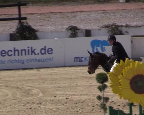Balve-Wocklum Regio 2015