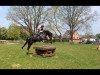 jumper Emilio EH (Hanoverian, 2008, from Escudo I)