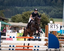 jumper Envoys Sweet Ella (KWPN (Royal Dutch Sporthorse), 2016, from Envoy)