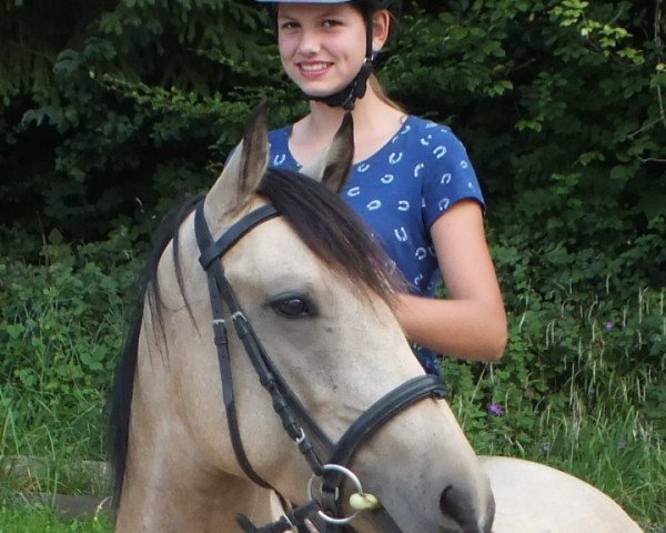 dressage horse Miss Maly Jac (Pinto / Pony, 2014)