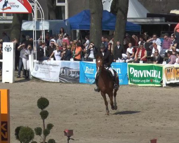 Lenklarer Reitertage 2015
