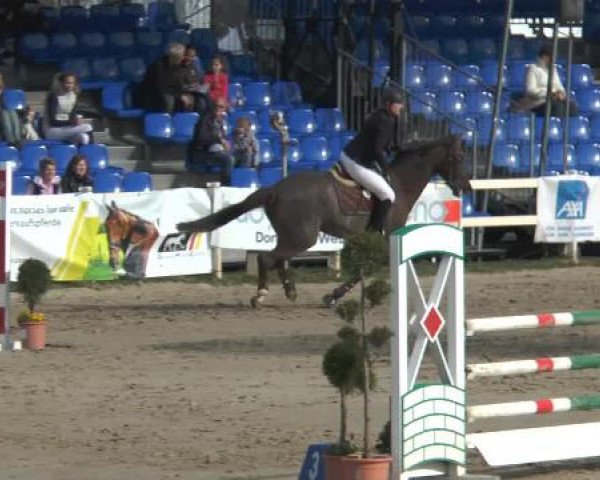 Lenklarer Reitertage 2015