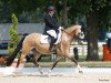 Dressurpferd RSB Golden Schorschi (Deutsches Reitpony, 2016, von Golden West NRW)