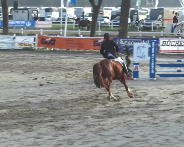 Lenklarer Reitertage 2015