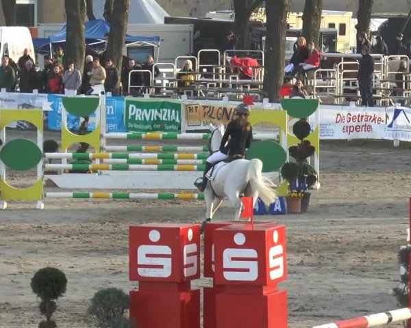 Lenklarer Reitertage 2015