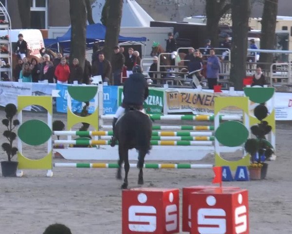 Lenklarer Reitertage 2015
