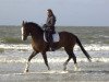 dressage horse Flamenco G (Westphalian, 1999, from Florestan I)