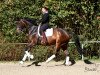 dressage horse Rasteau G (Westphalian, 2009, from Rubinero 2)