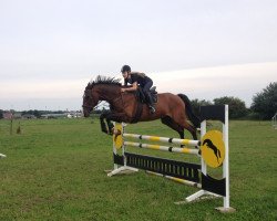 dressage horse Garino (Mecklenburg, 1997, from Godanah x)