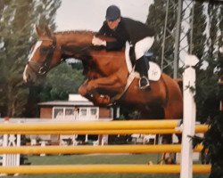 broodmare Gina (Hanoverian, 1989, from Garibaldi II)