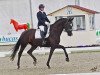 dressage horse Perla Negra (Oldenburg, 2015, from Negro)