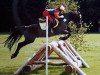 jumper Dark Fellow (German Riding Pony, 1995, from Dressman)