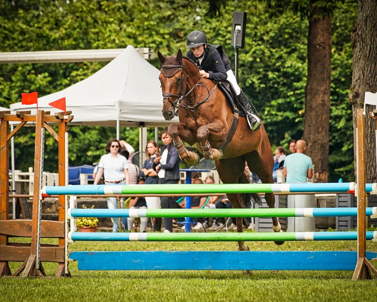 jumper Loreen 158 (Württemberger, 2012, from Lisarazu)