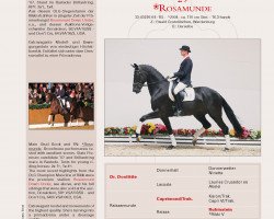 broodmare Rosamunde 18 (Oldenburg, 2004, from Dr Doolittle 45)