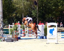 jumper Luis Löwenherz (Holsteiner, 2014, from Lyjanero)