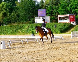 dressage horse Sunshine 631 (German Riding Pony, 2009, from Natango)