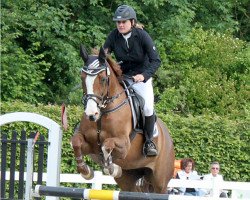 jumper Ally McBeal 10 (Hessian Warmblood, 2003, from Almaz)