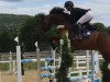 jumper Leander 281 (German Sport Horse, 2011, from Lionheart)