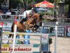 jumper Lionhearts Locke (German Sport Horse, 2010, from Lionheart)