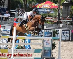 jumper Lionhearts Locke (German Sport Horse, 2010, from Lionheart)