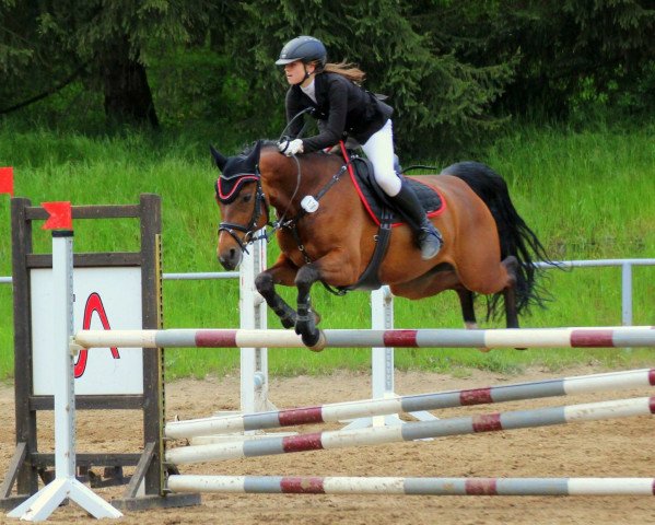 jumper Luna (German Sport Horse, 2005, from Wanderfürst)