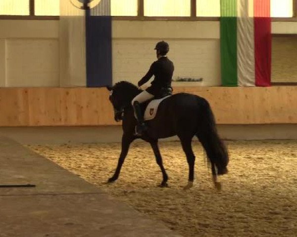 Eröffnung der grünen Saison Bottrop 2015
