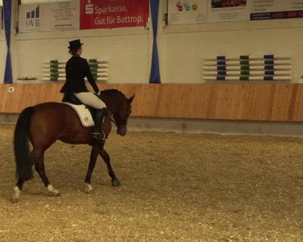 Eröffnung der grünen Saison Bottrop 2015
