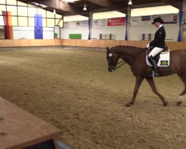 Eröffnung der grünen Saison Bottrop 2015
