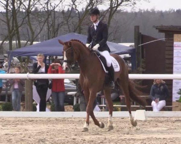 Reitturnier Niedernstöcken 2015
