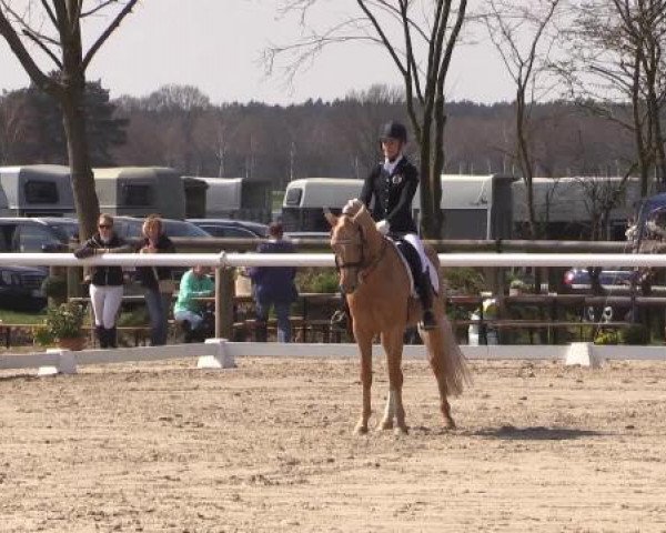 Reitturnier Niedernstöcken 2015