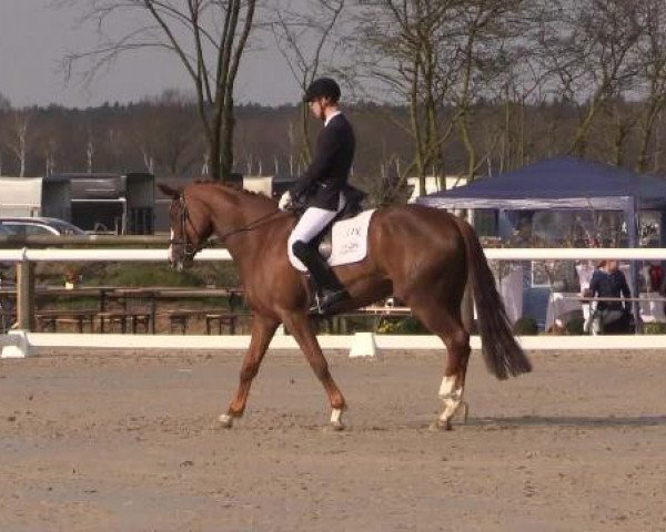 Reitturnier Niedernstöcken 2015