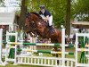 jumper Exquisit 40 (Hanoverian, 2006, from El Bonito)