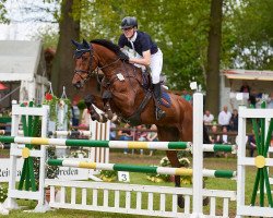 jumper Exquisit 40 (Hanoverian, 2006, from El Bonito)