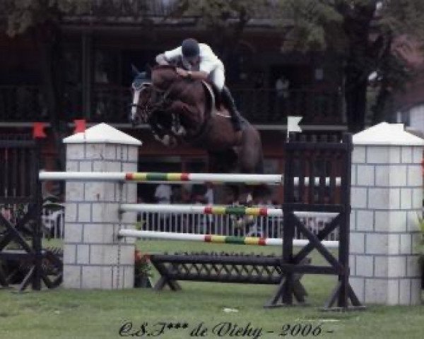 stallion Jiky de Nantuel (Selle Français, 1997, from Papillon Rouge)