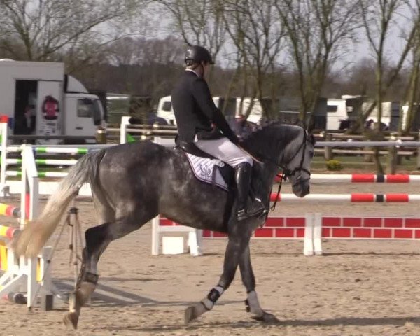 Reitturnier Niedernstöcken 2015