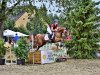 dressage horse Camillo (German Riding Pony, 2005, from Cornett)