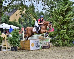 dressage horse Camillo (German Riding Pony, 2005, from Cornett)