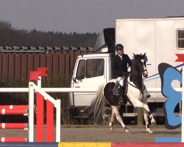 Reitturnier Niedernstöcken 2015