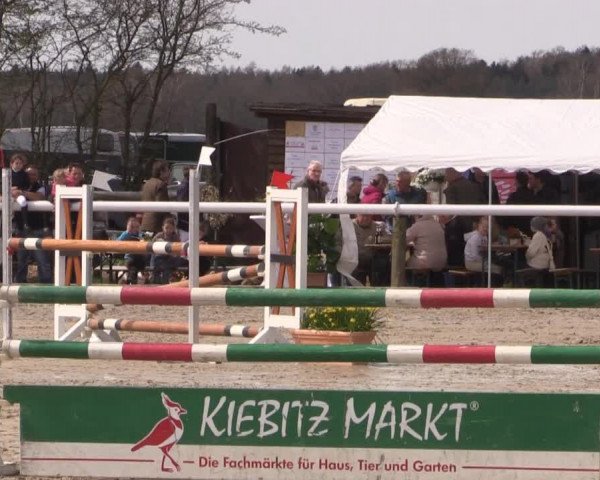 Reitturnier Niedernstöcken 2015