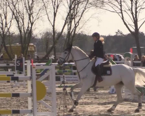Reitturnier Niedernstöcken 2015