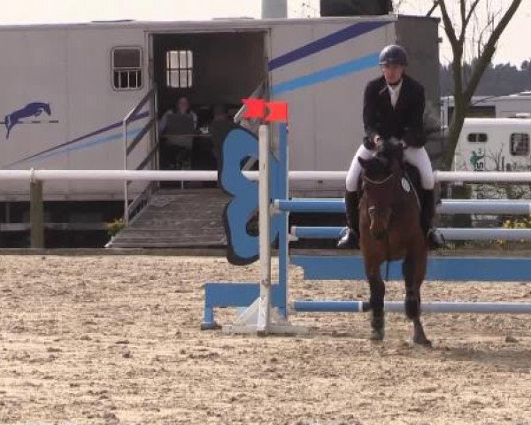 Reitturnier Niedernstöcken 2015