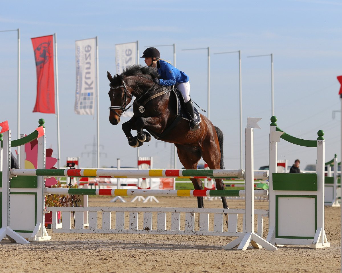 jumper Nasitha M (Bavarian, 2009, from Colman)