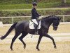 dressage horse Pures Glück 3 (German Sport Horse, 2015, from Birkhof's Zalando OLD)