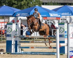 broodmare Chaps Lady (German Sport Horse, 2011, from Chap 47)