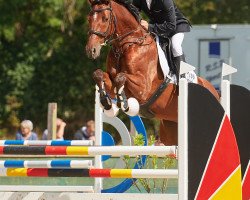 jumper Columbus PHE Exclusive (Oldenburg show jumper, 2012, from Eldorado vd Zeshoek Tn)